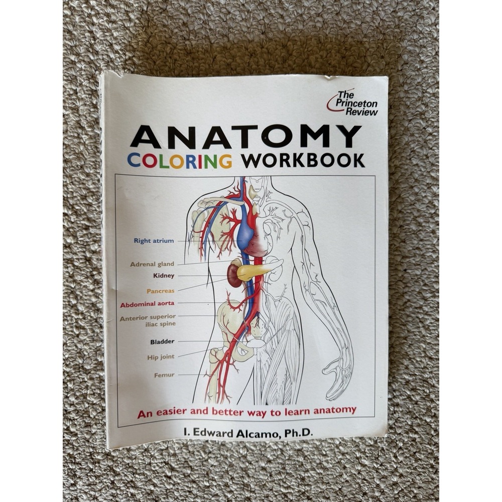 Anatomy Coloring Workbook: by Alcamo, I. Edward Paperback